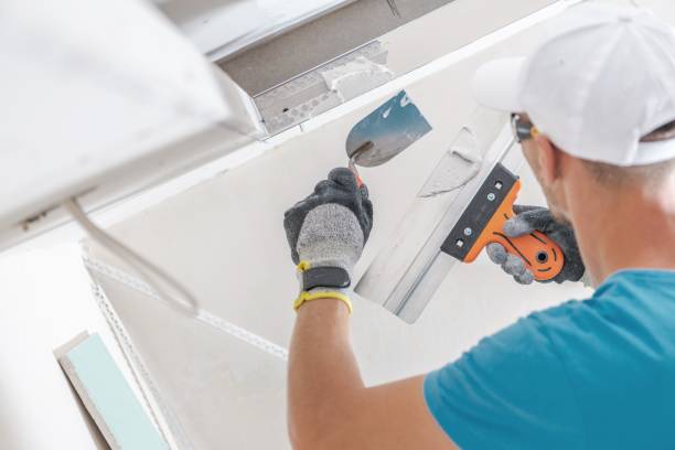 Best Black Mold Removal  in La Grange, TX